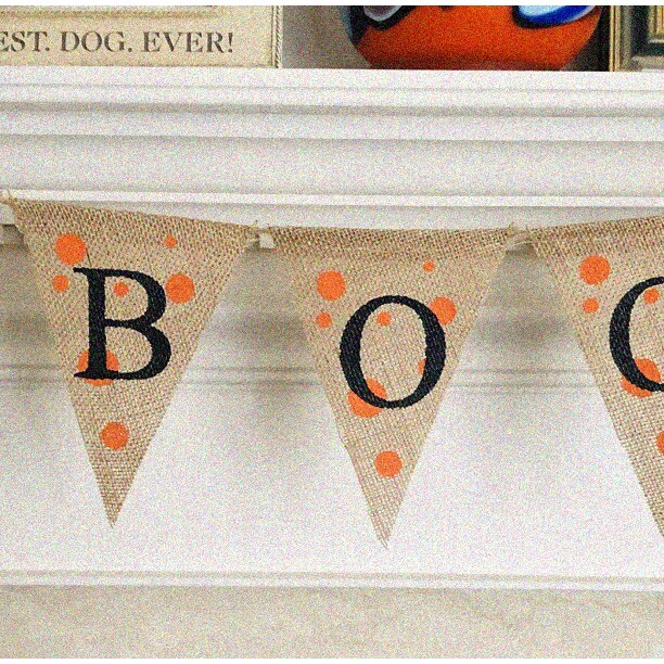 Spooky Spiderweb Burlap Banner Halloween Decor