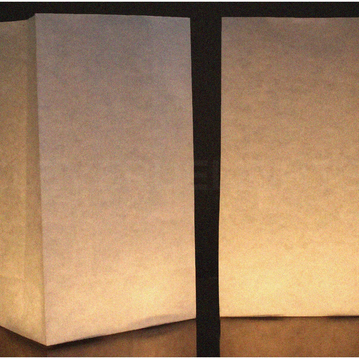 50 White Luminary Bags 10" H x 6" W x 3" D