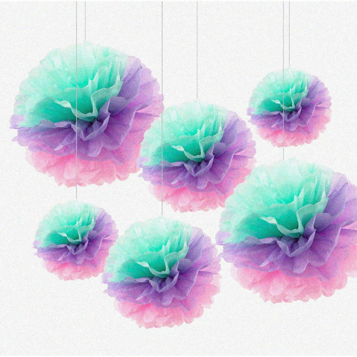 Set of 6 Tissue Pompoms in 8, 10, or 12 inches