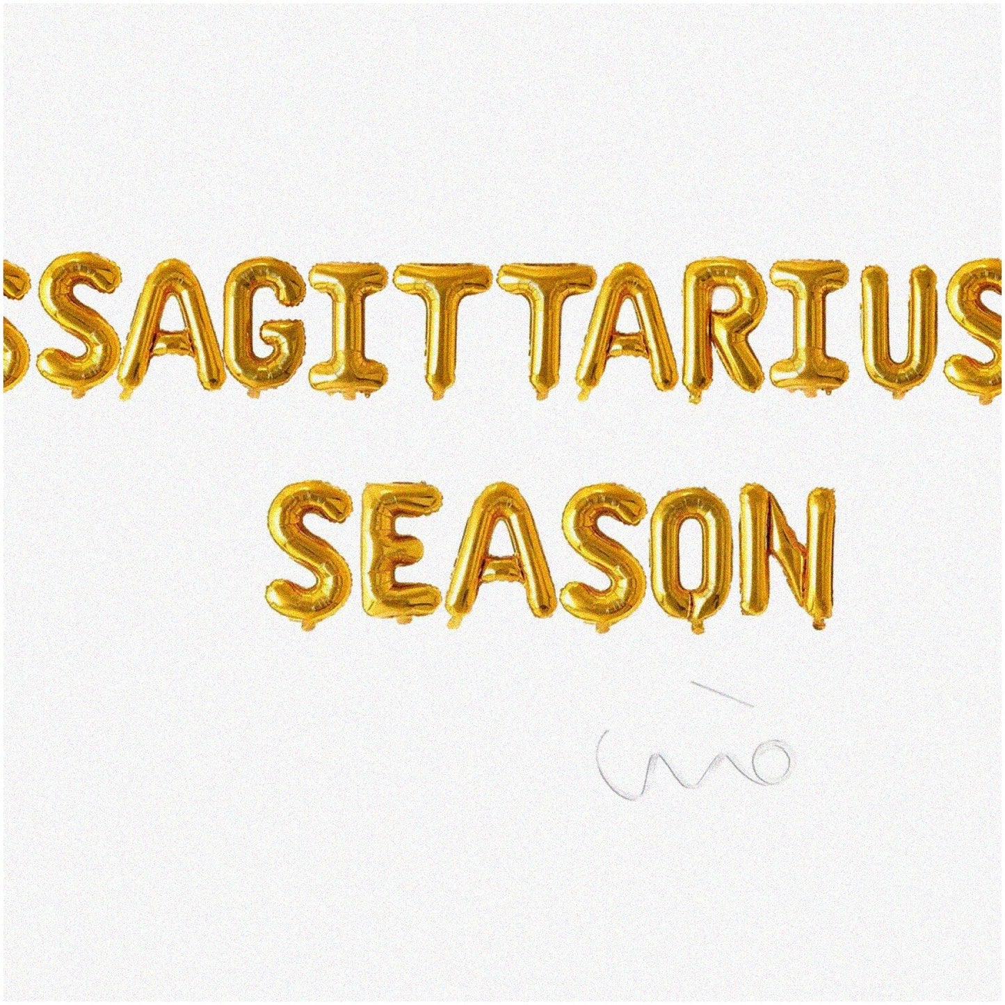 Sagittarius Zodiac Celebration Banner and Balloon Set