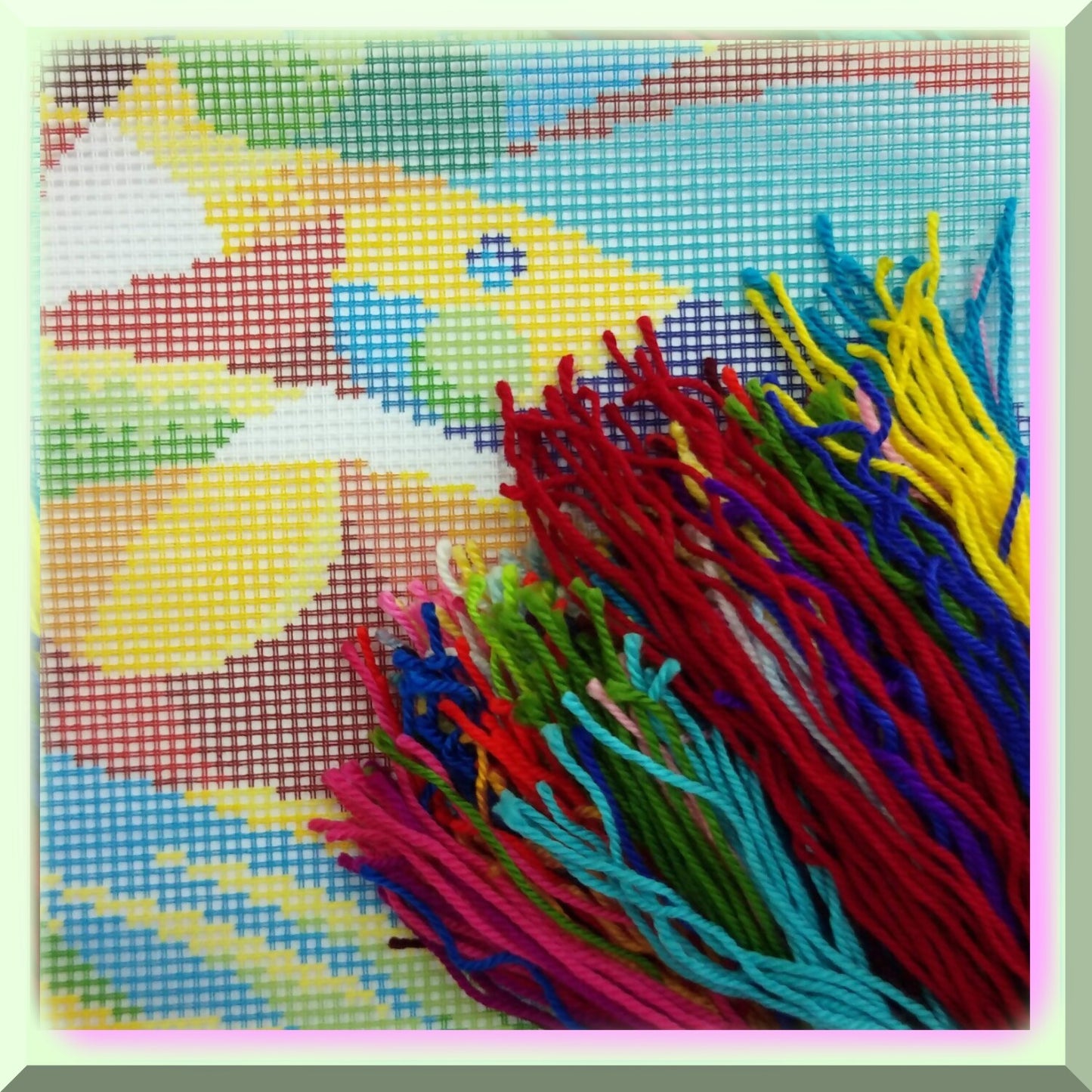 European Fish Embroidery Kit for Home Decor