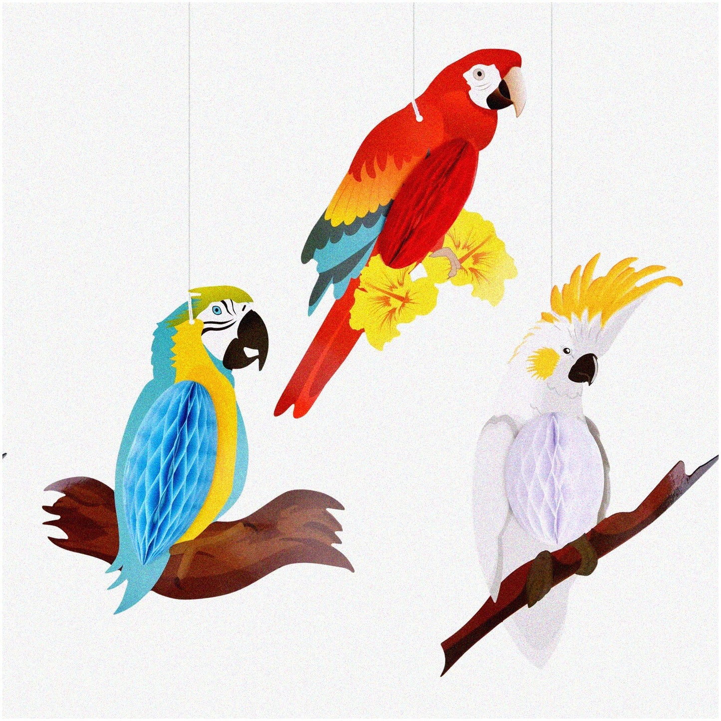 Tropical Parrot Honeycomb Decorations Set of 6
