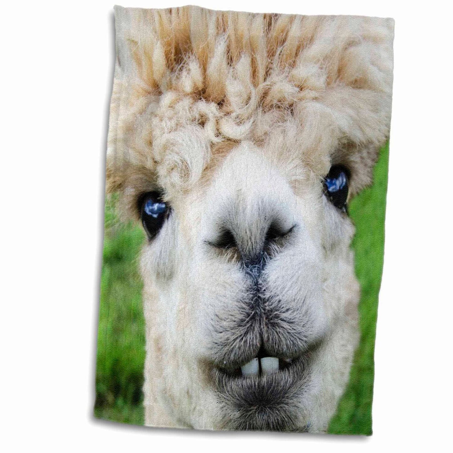 3D Rose Alpaca Lama South Hand Towel 15" x 22"