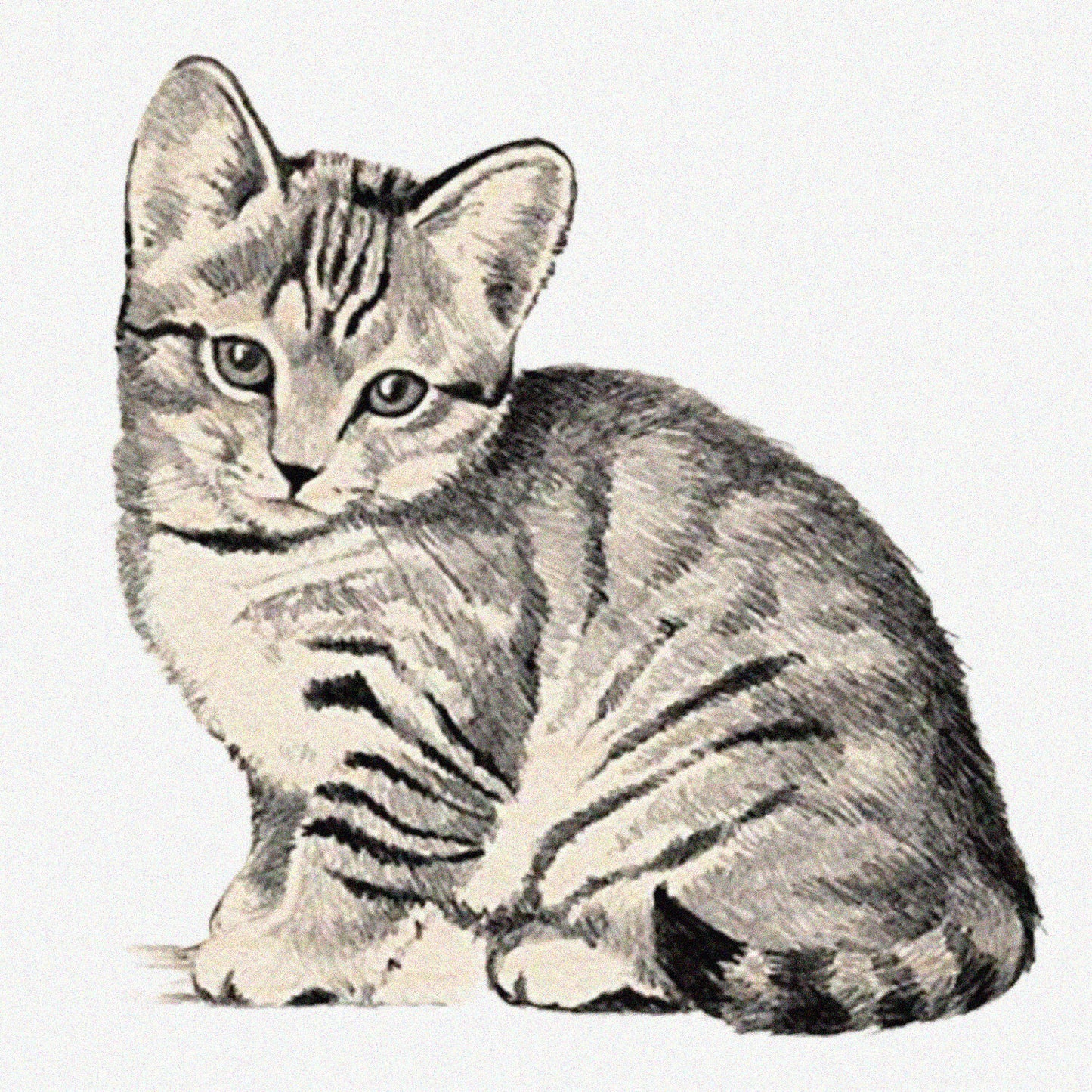Kitten Wooden Stamp for Scrapbooking 2.25"