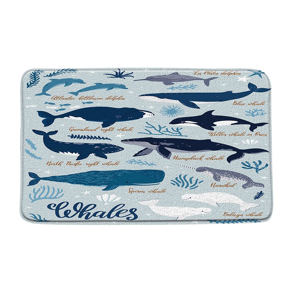 Whale Bath Mat 29.5x17.5 Inch