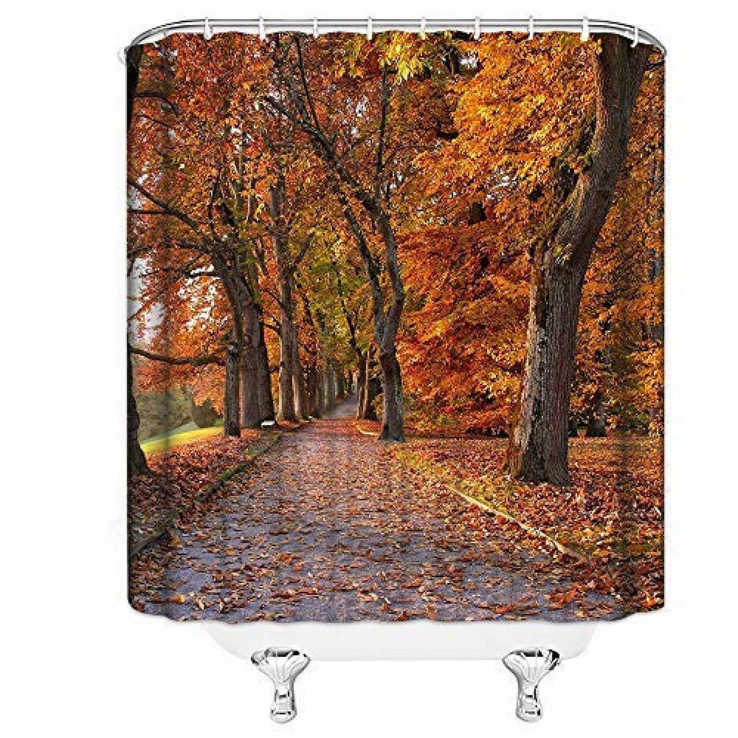 Fall Forest Scenic Shower Curtain 70x70 Inch