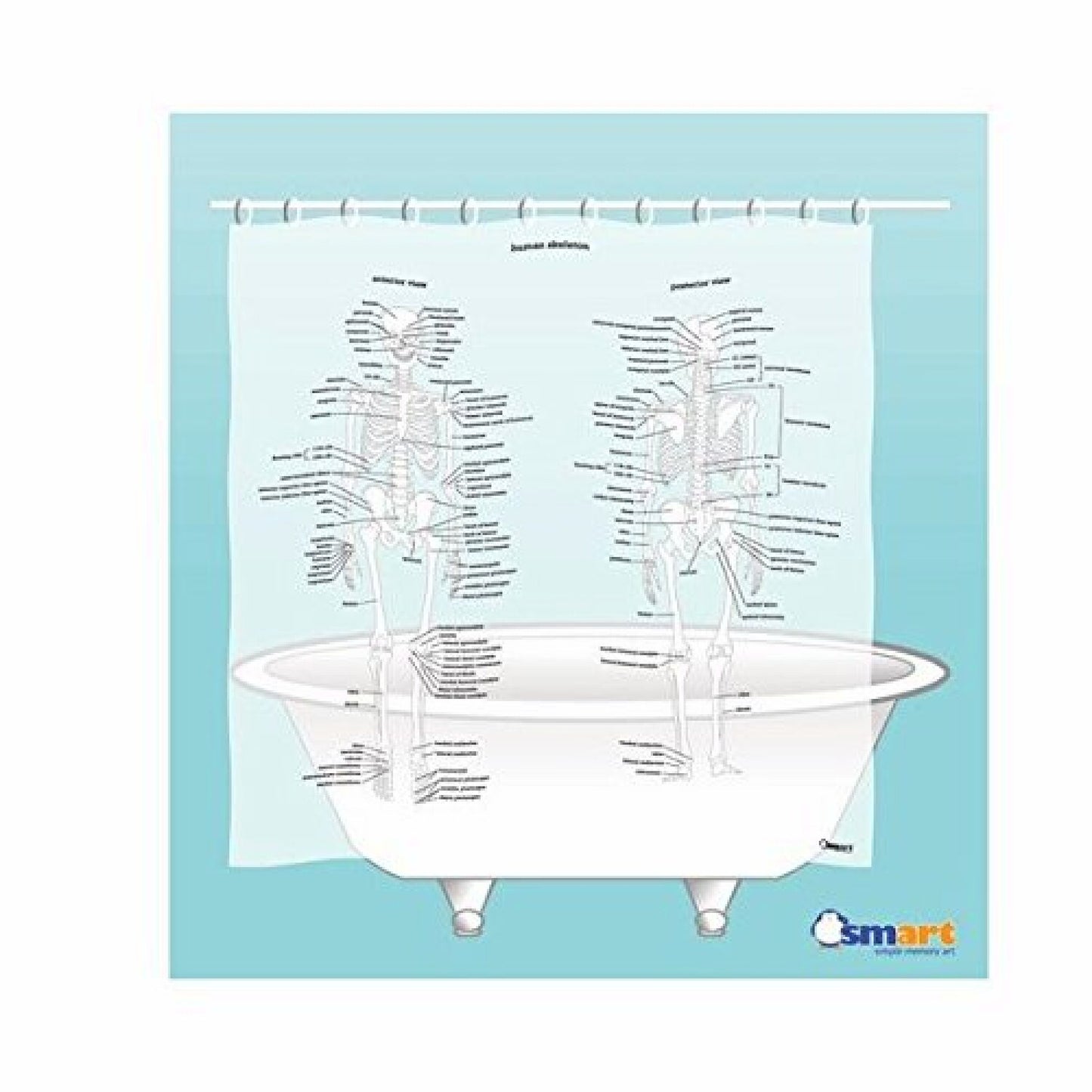 Human Skeleton EVA Vinyl Shower Curtain 71x71 Inches