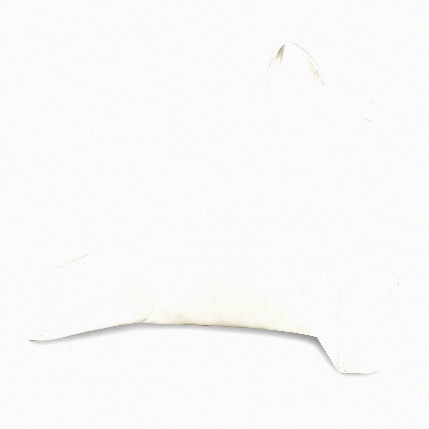 MemoryFoam Comfort Rest Pillow - Supportive Reading Pillow with Arms & Back Support for Sitting in Bed - Removable Cover - 18 X 15 Inches White