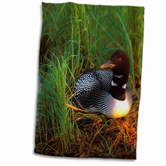 3D Rose Minnesota-Common Loon Bird Hand/Sports Towel 15x22