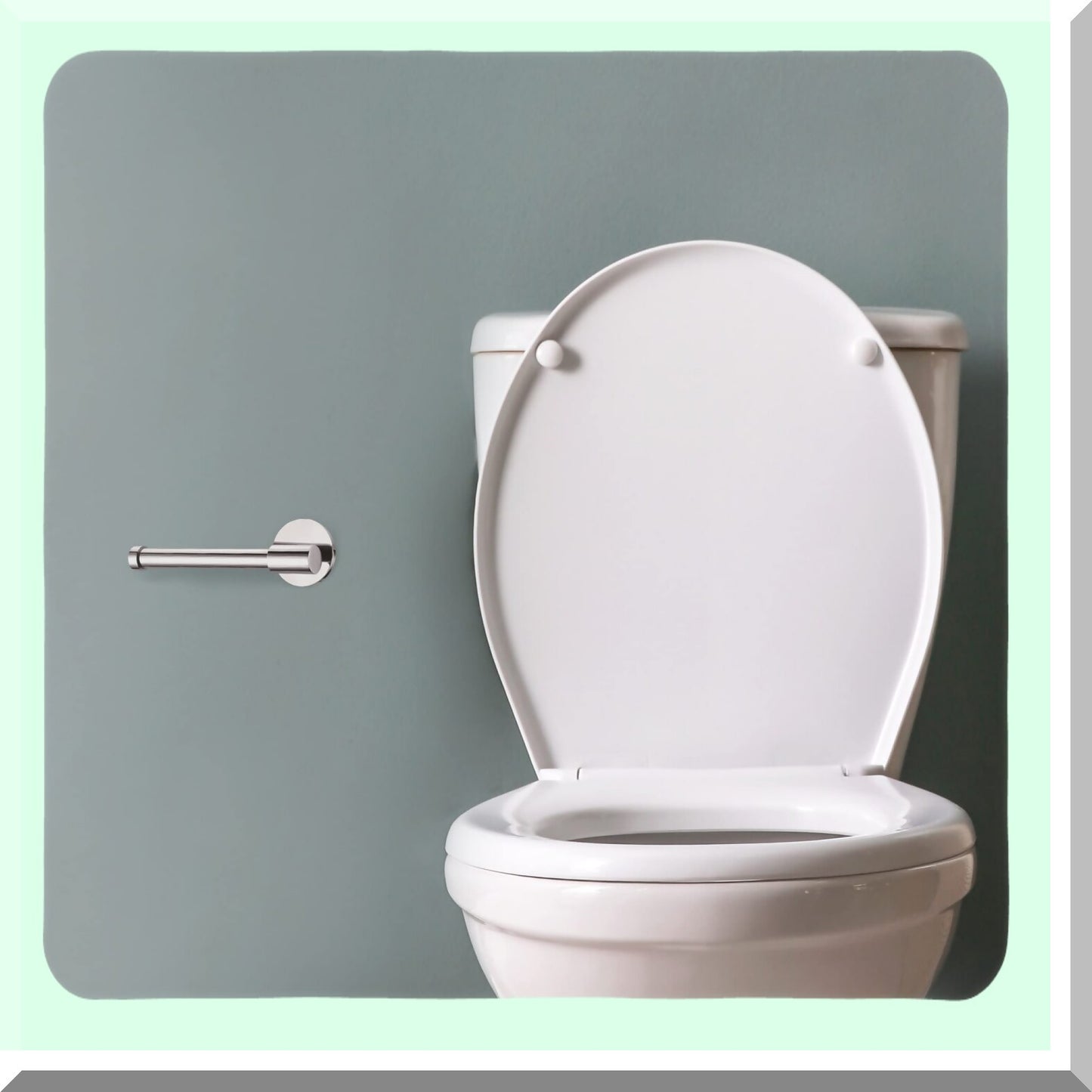 Graz Polished Chrome Toilet Paper Holder