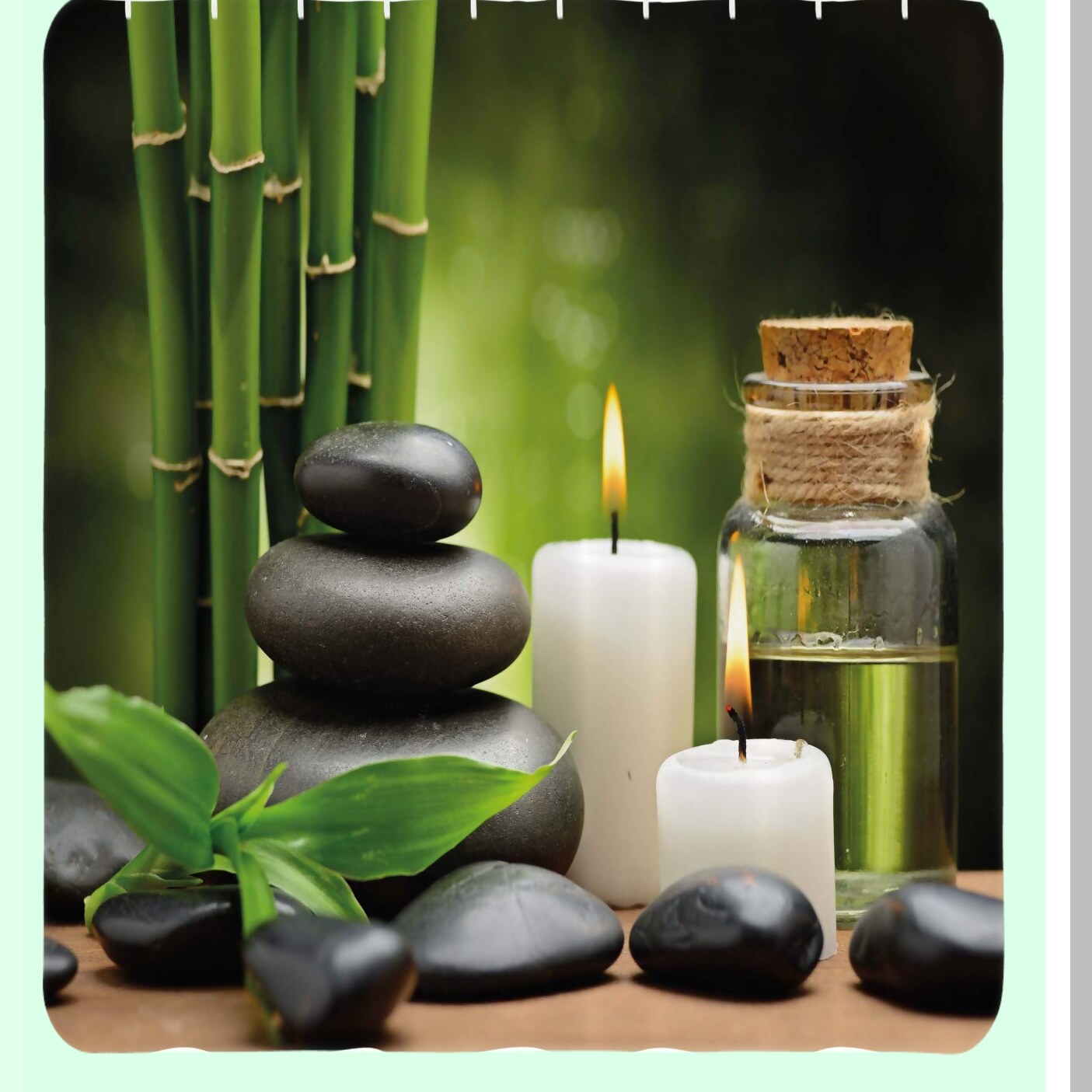 Spa Themed Shower Curtain with Tropical Landscape Print