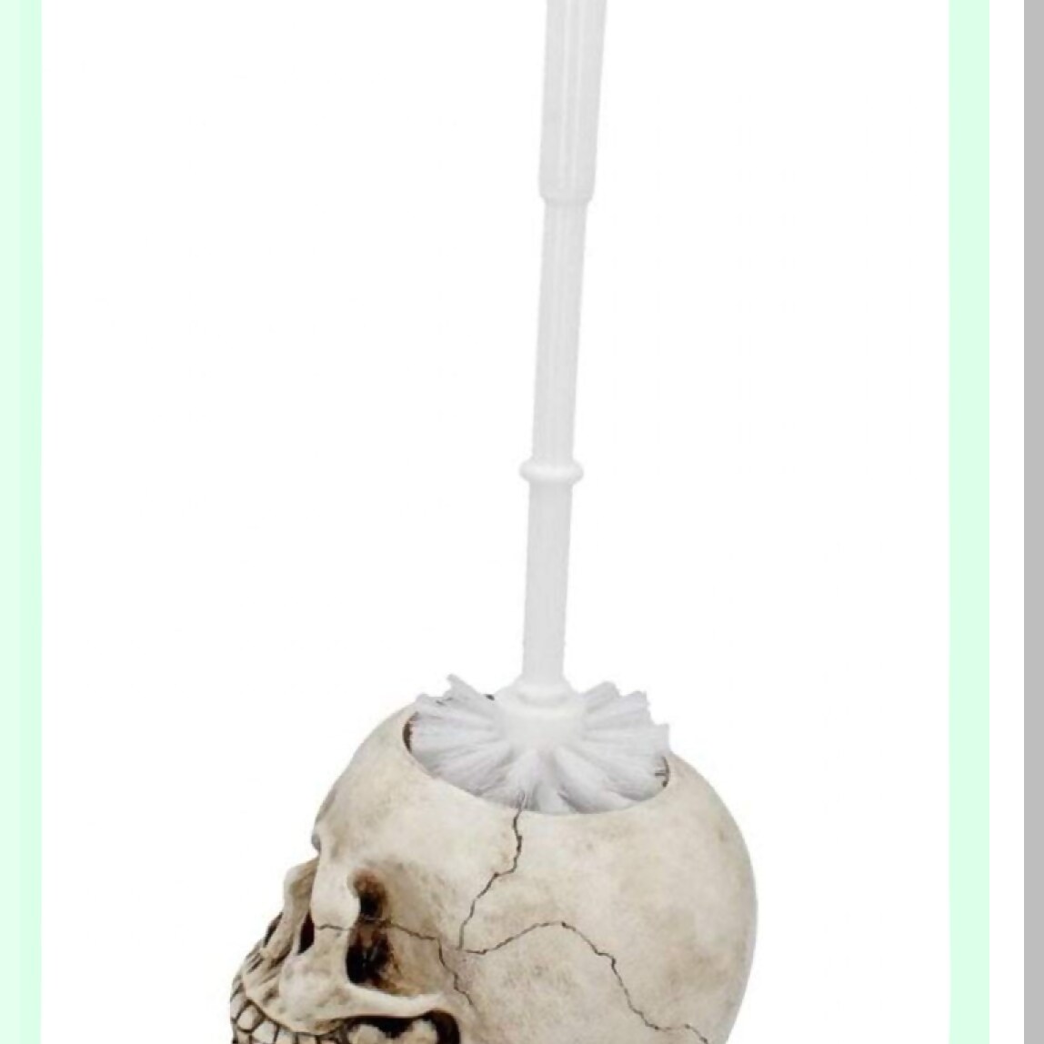 Skull Tet Brush 16cm Ivory