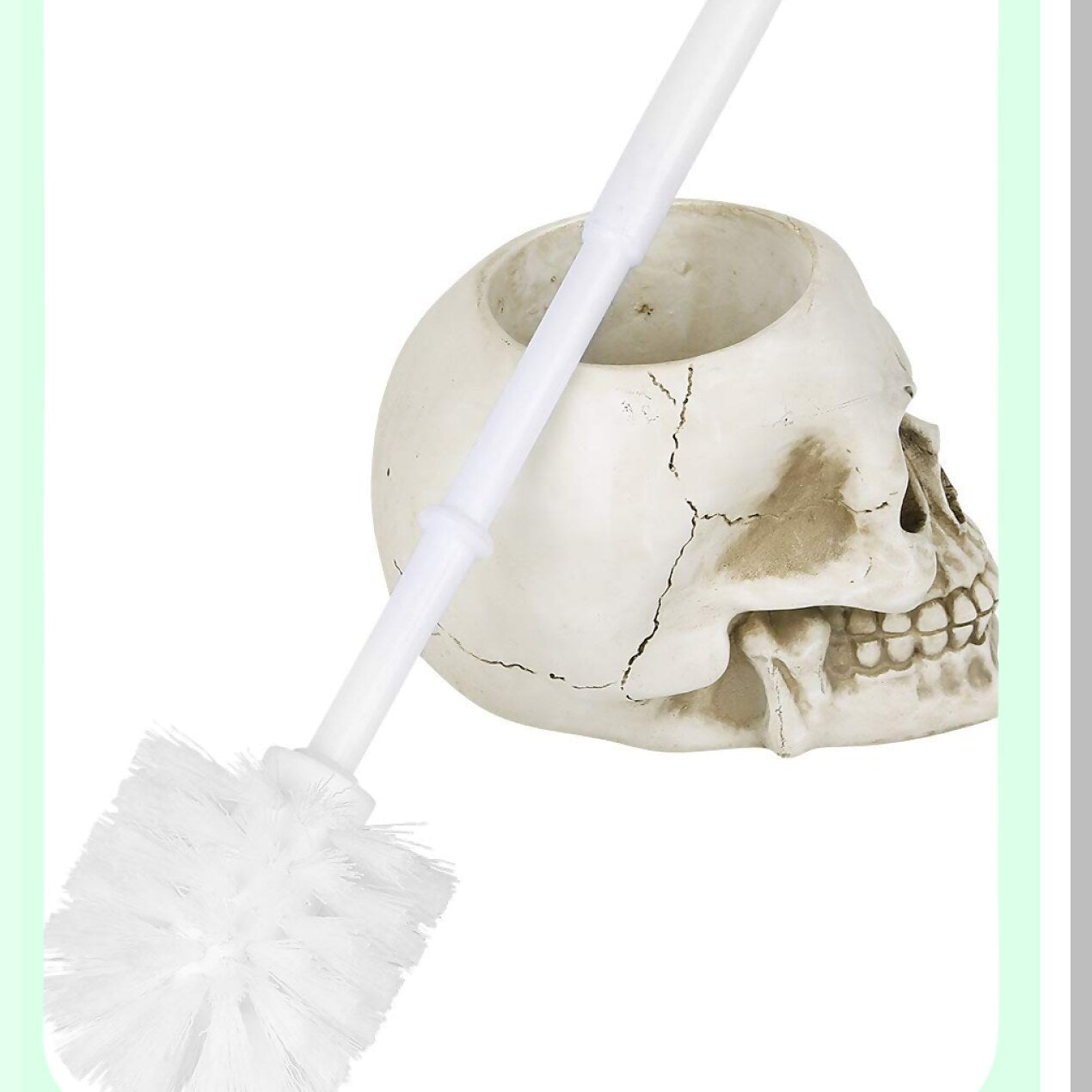 Skull Tet Brush 16cm Ivory