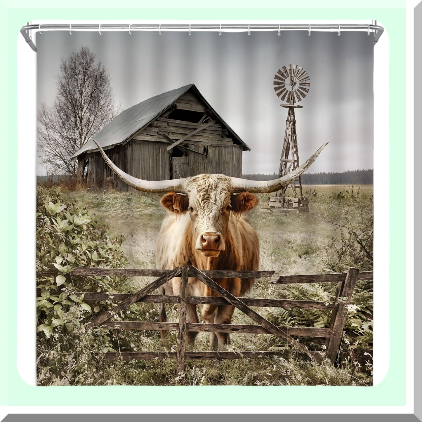 Highland Cattle Shower Curtain 70x70 Inch