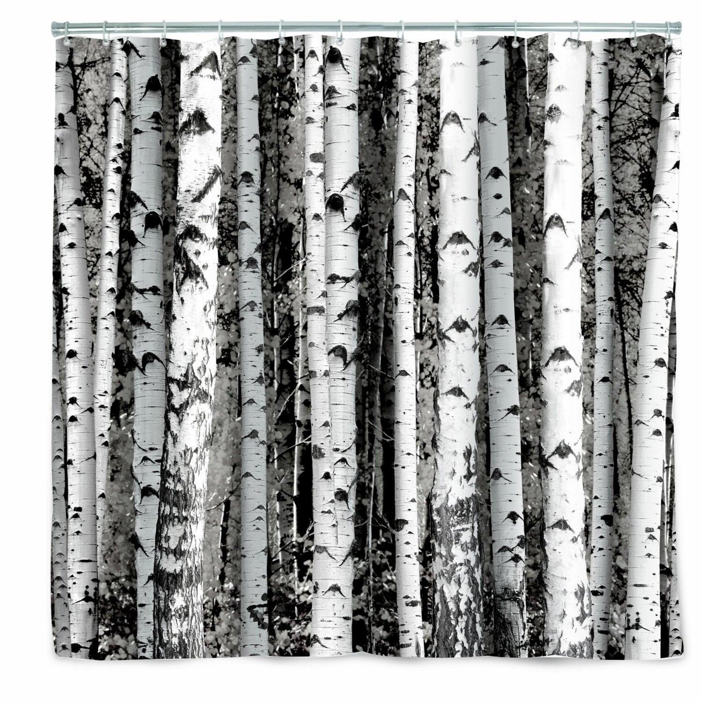 Polyester Shower Curtain Birch 72" x 72"