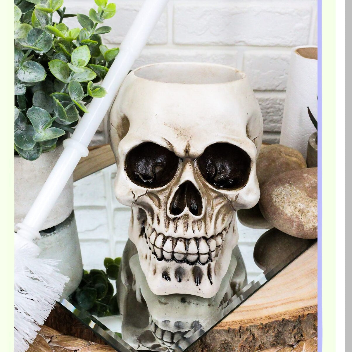 Skull Cranium Tet Brush and Base Bathroom Set