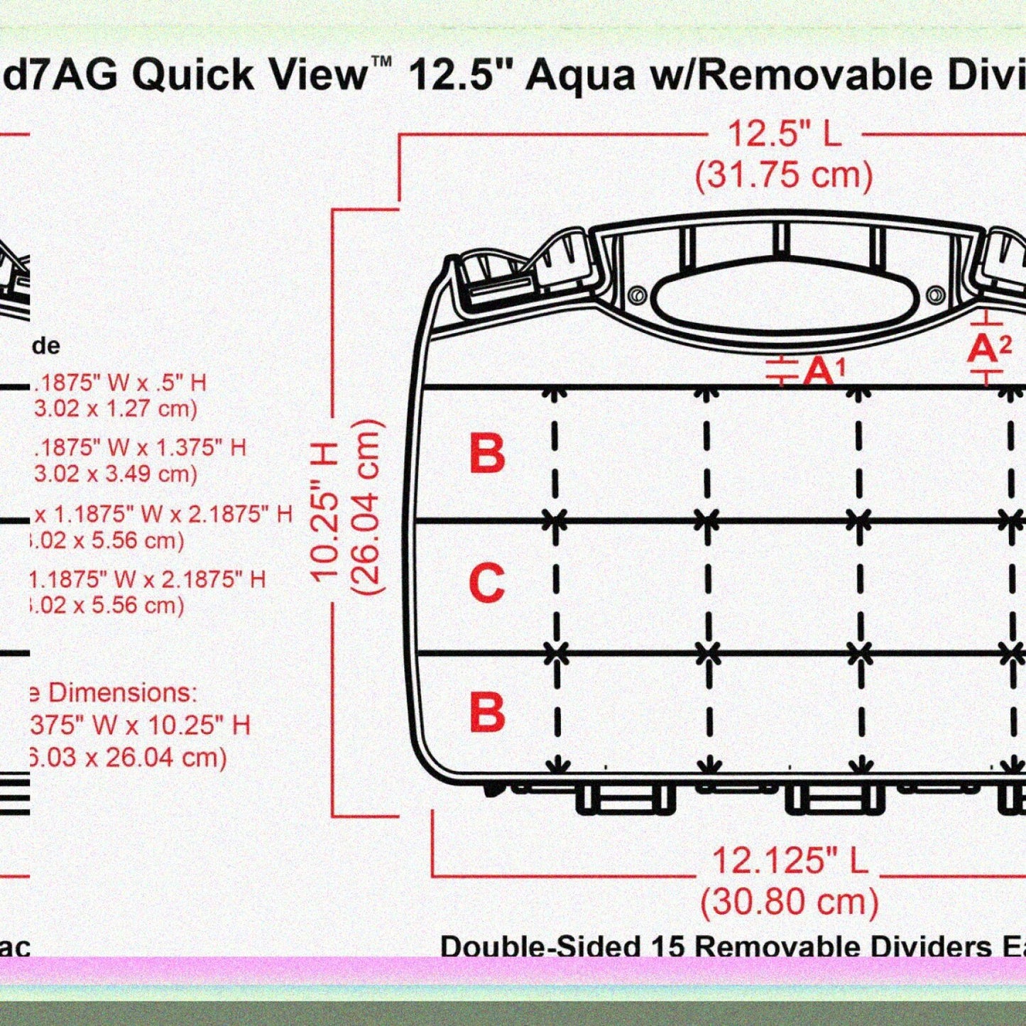 Double-Sided Plastic Carrying Case Black/Aqua 6877AG