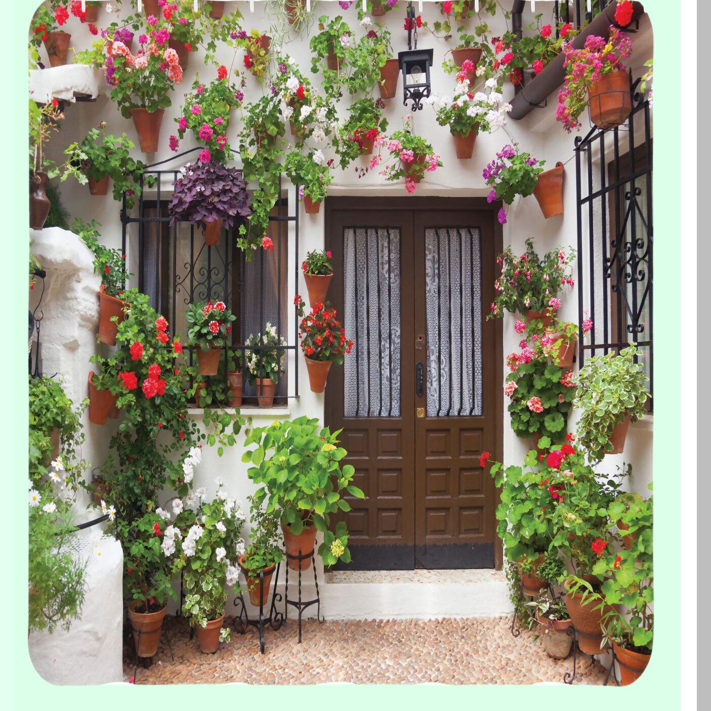 Spanish House Print Polyester Shower Curtain