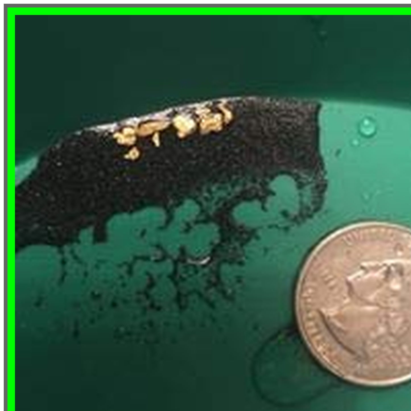 Flavor Explorer: A Curated Taste Experience for Food Enthusiasts