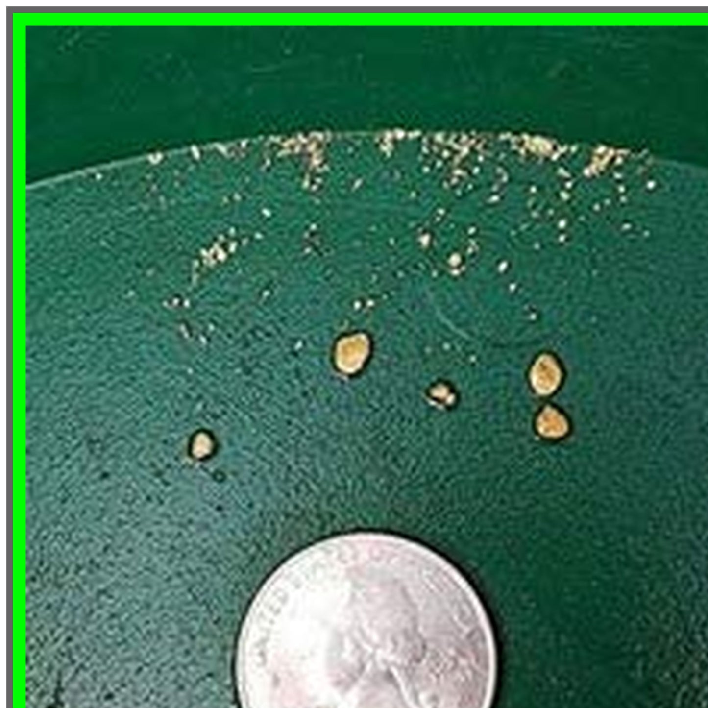 Flavor Explorer: A Curated Taste Experience for Food Enthusiasts