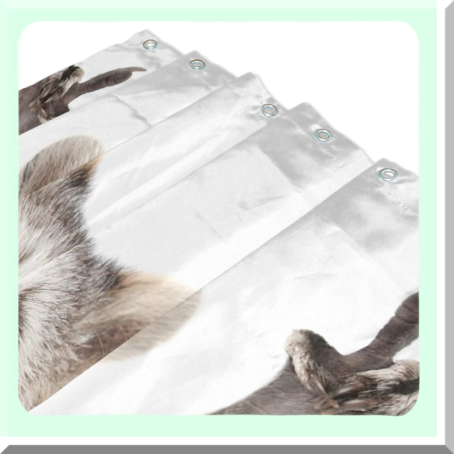 Raccoon Shower Curtain 72x72 Waterproof Fabric