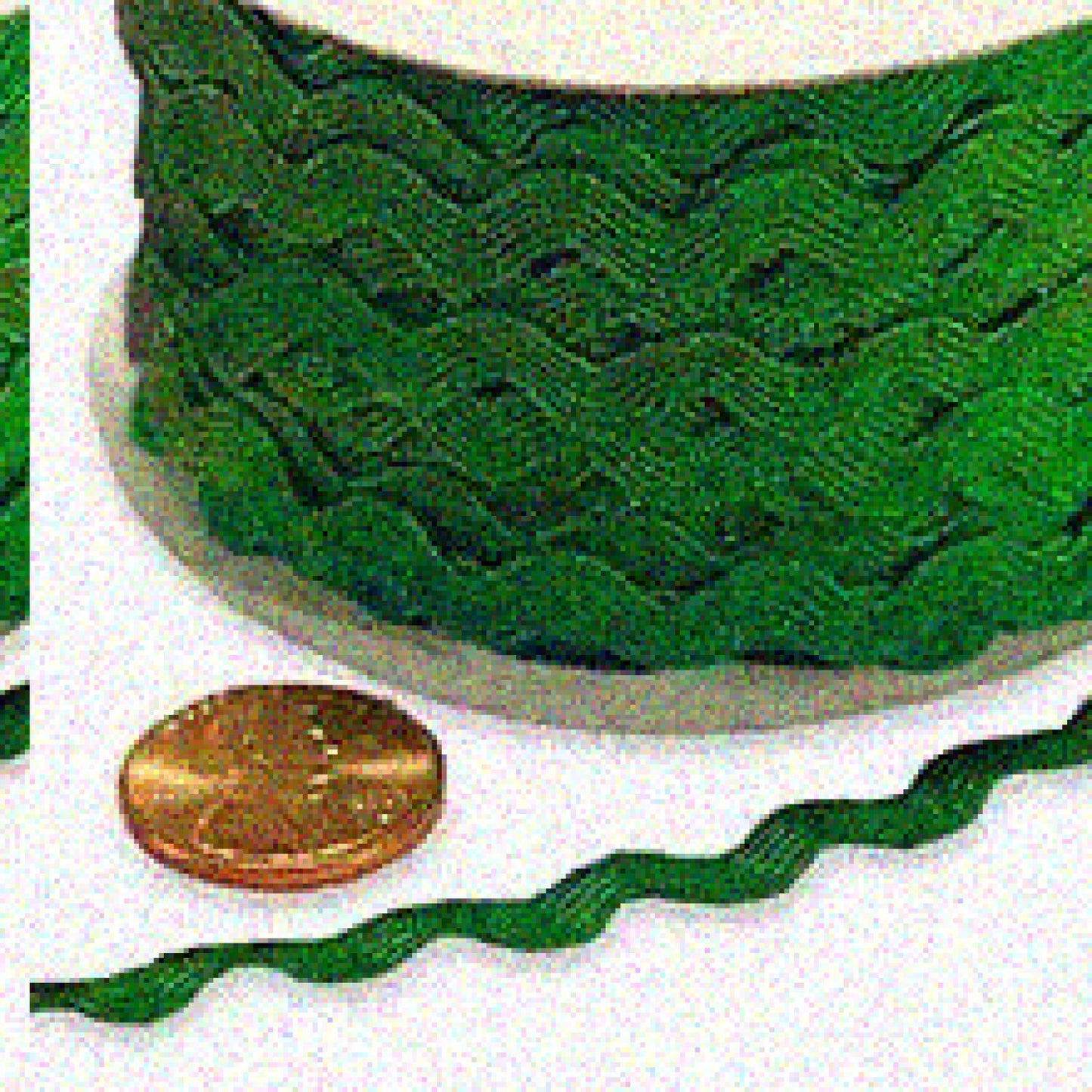 7mm X 25 Yards Emerald Ric Rac Trim