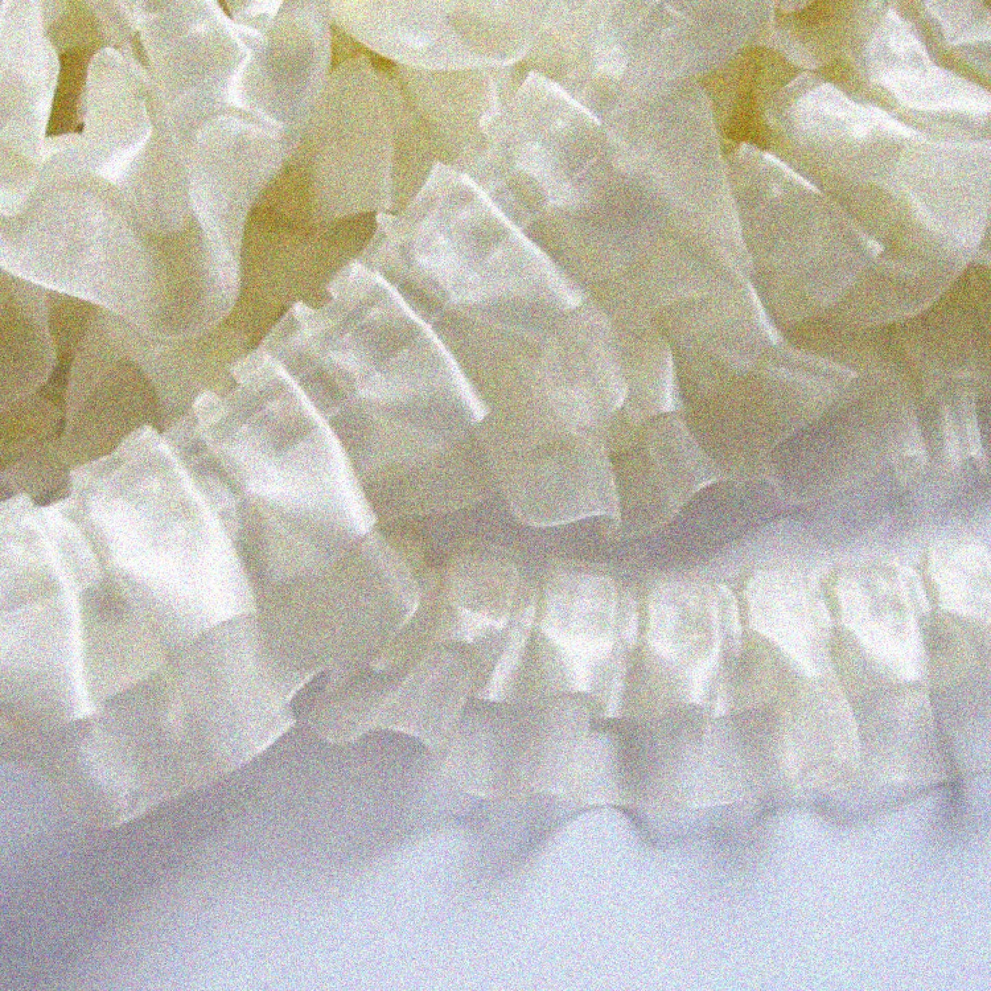 Pack of 5 Ivory Two-Tone Organza Lace Edge Trim 1.5"