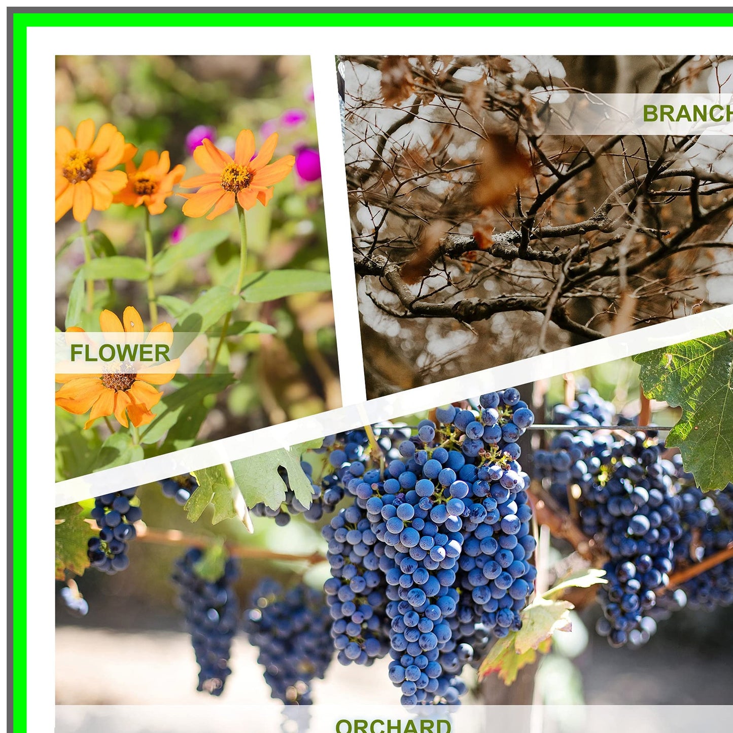 Cordless Electric Pruning Shears with SK5 High Carbon Steel Blade