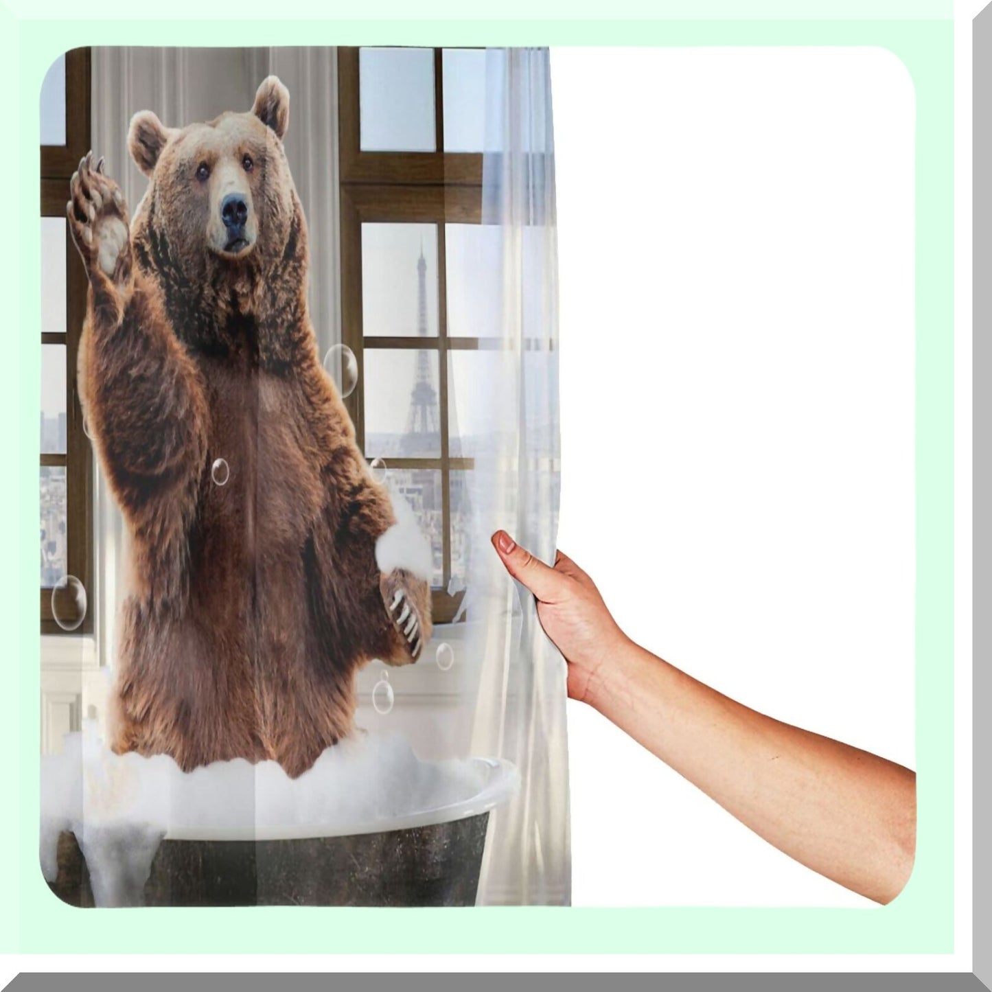 Funny Bear Shower Curtain Set with 12 Hooks 72x72 inches
