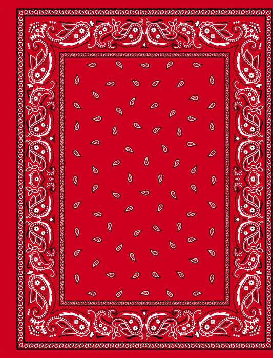 Red Brazilian Velour Beach Towel for Two