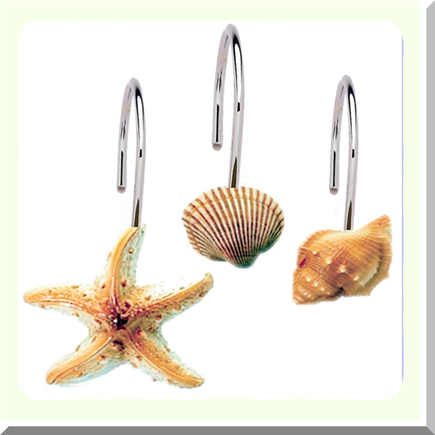 Seashell Shower Curtain Hooks Set of 12