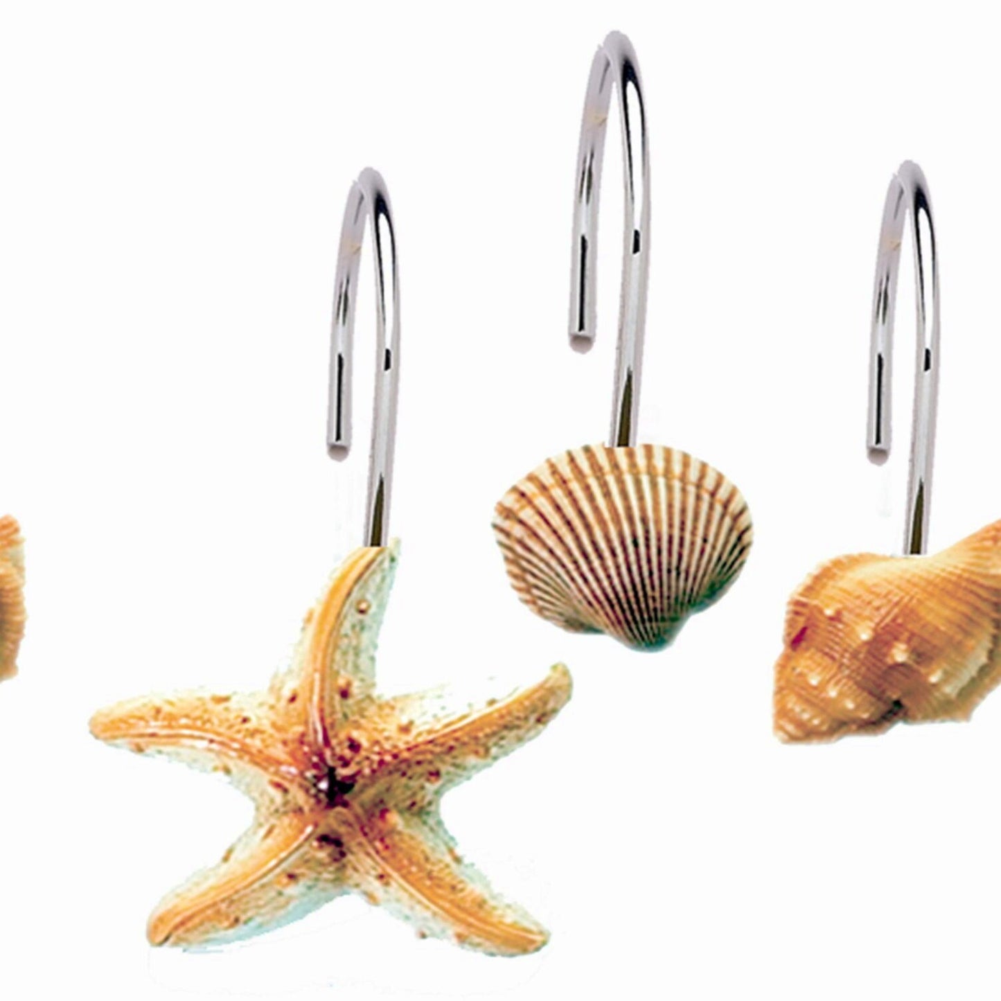 Seashell Shower Curtain Hooks Set of 12