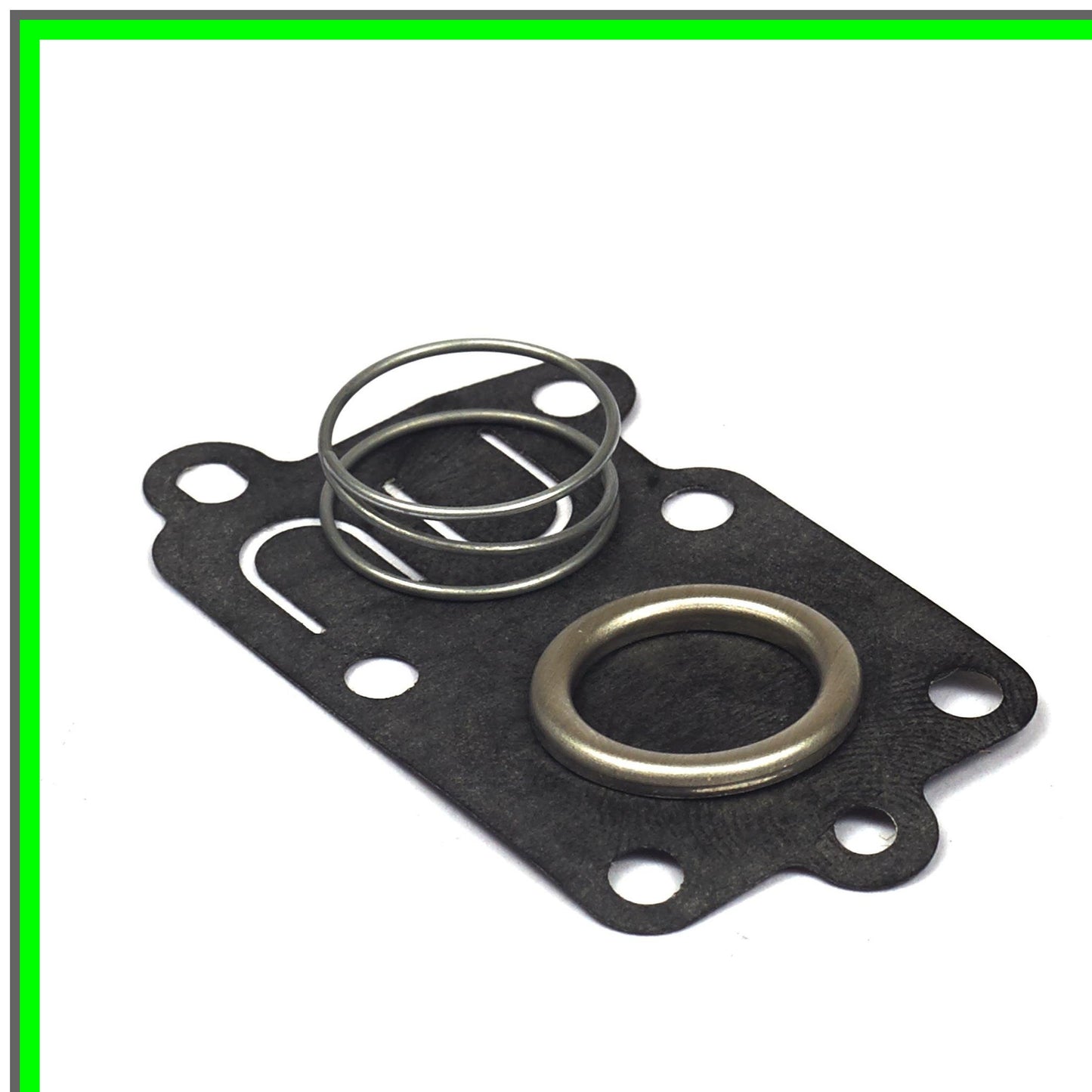 High-Performance Diaphragm Kit for Enhanced Fluid Control 5021K