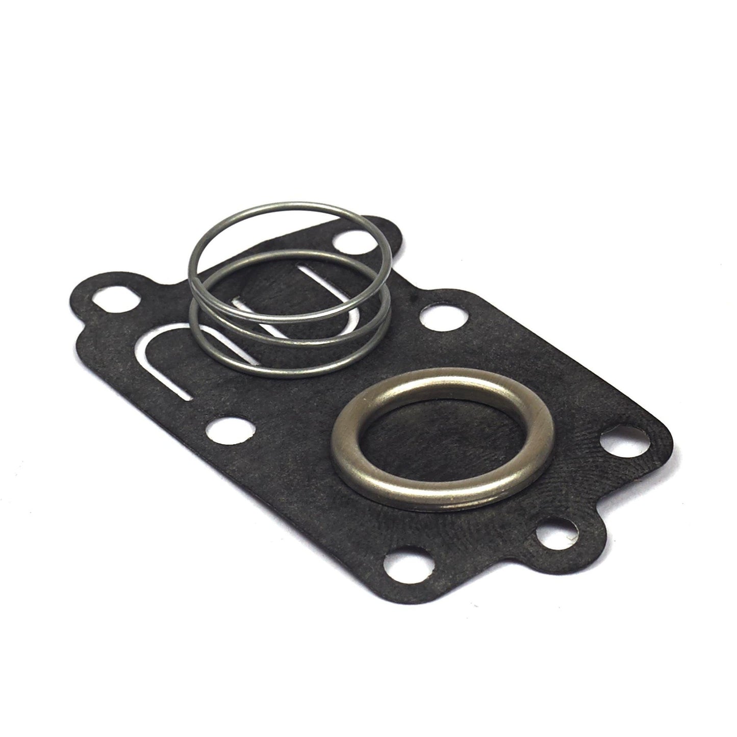 High-Performance Diaphragm Kit for Enhanced Fluid Control 5021K