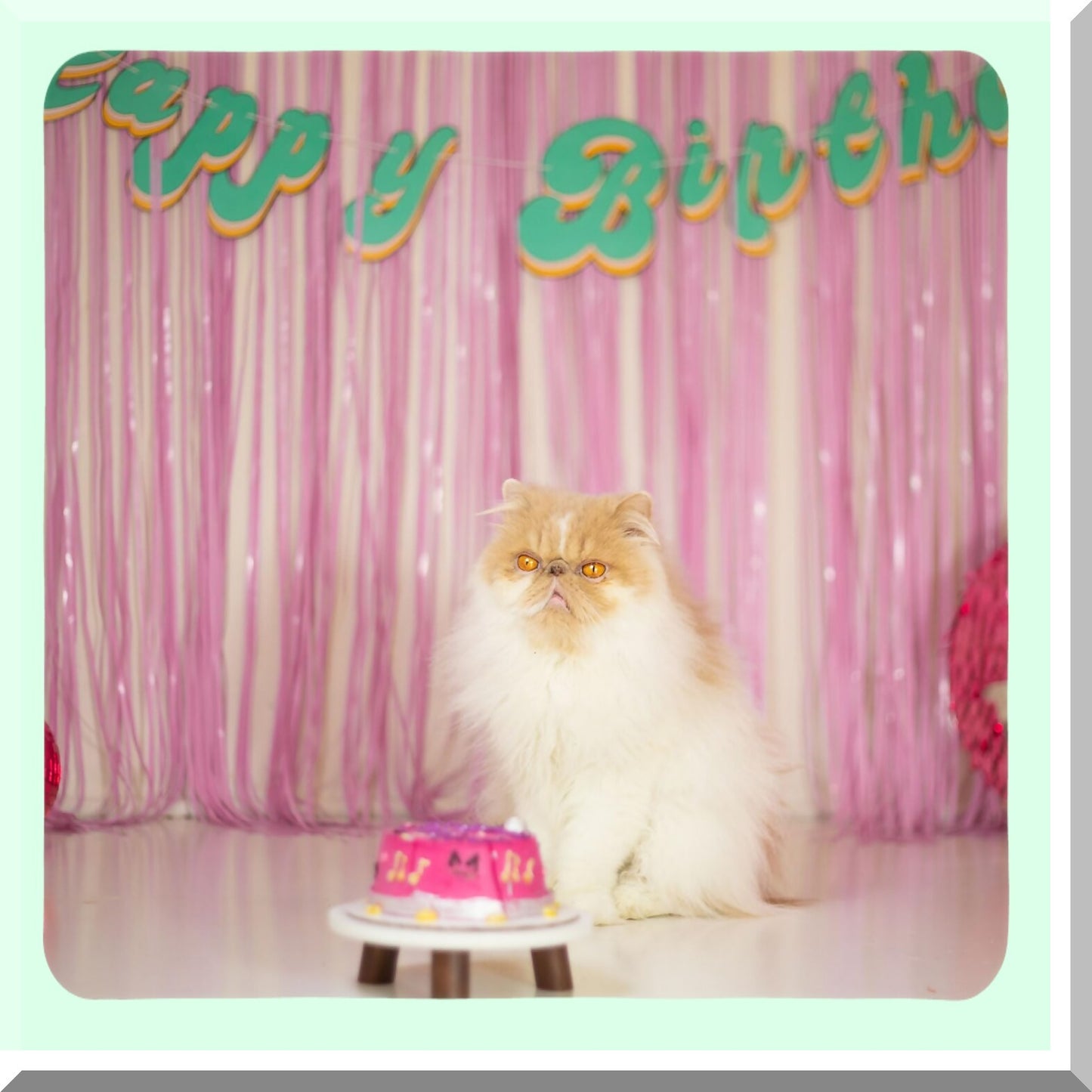 Pink Fringe Backdrop Curtains for Parties and Events