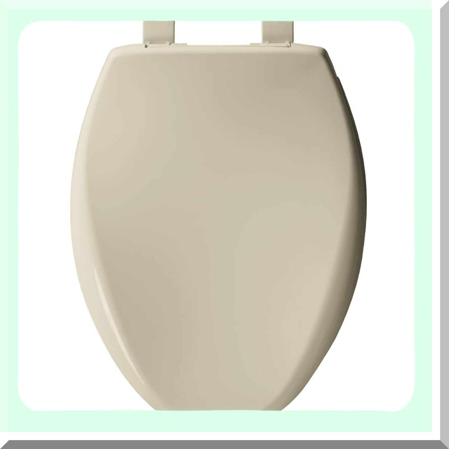 1200E4B 006 Elongated Plastic Toilet Seat Bone
