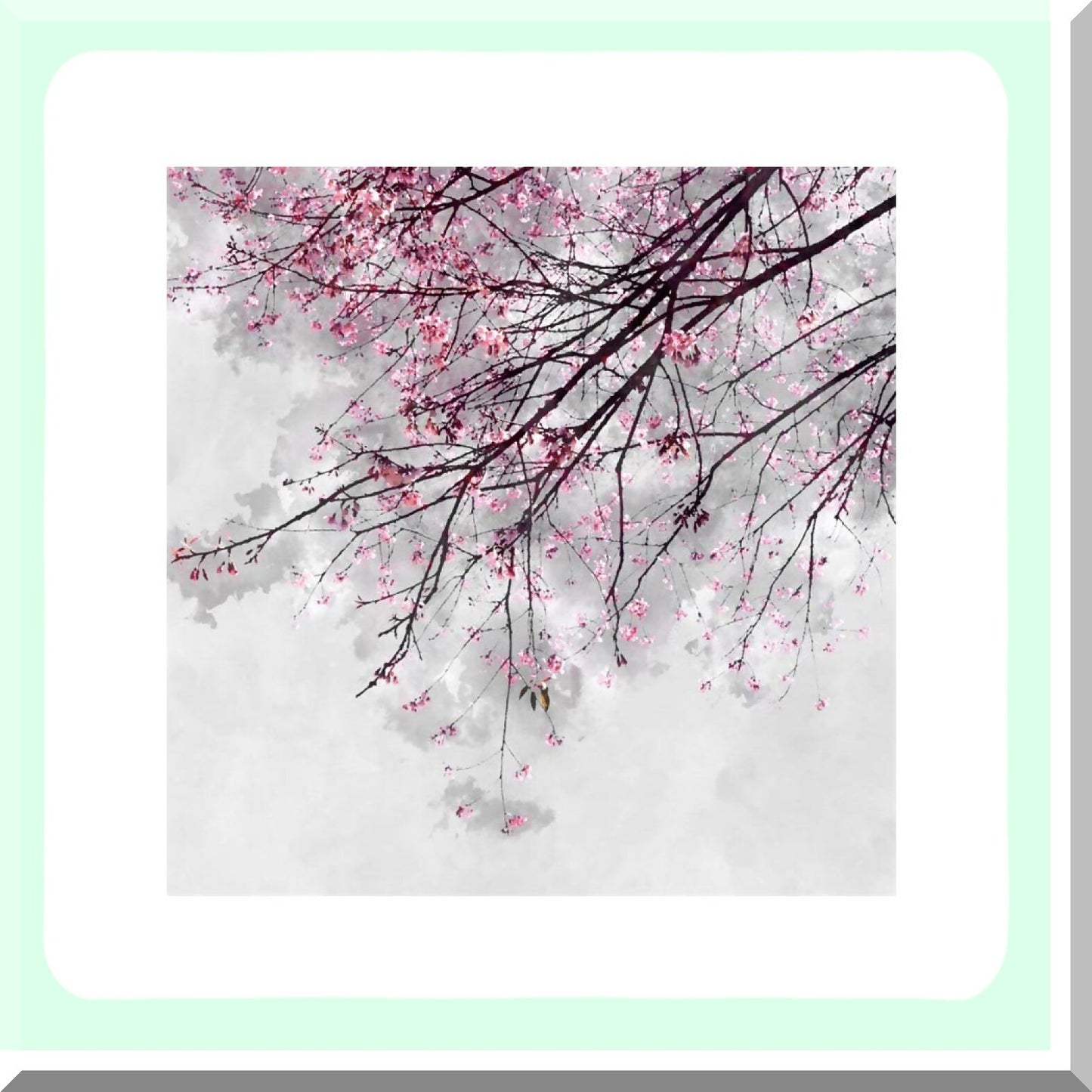 Cherry Blossoms Pink Shower Curtain 65x72inch