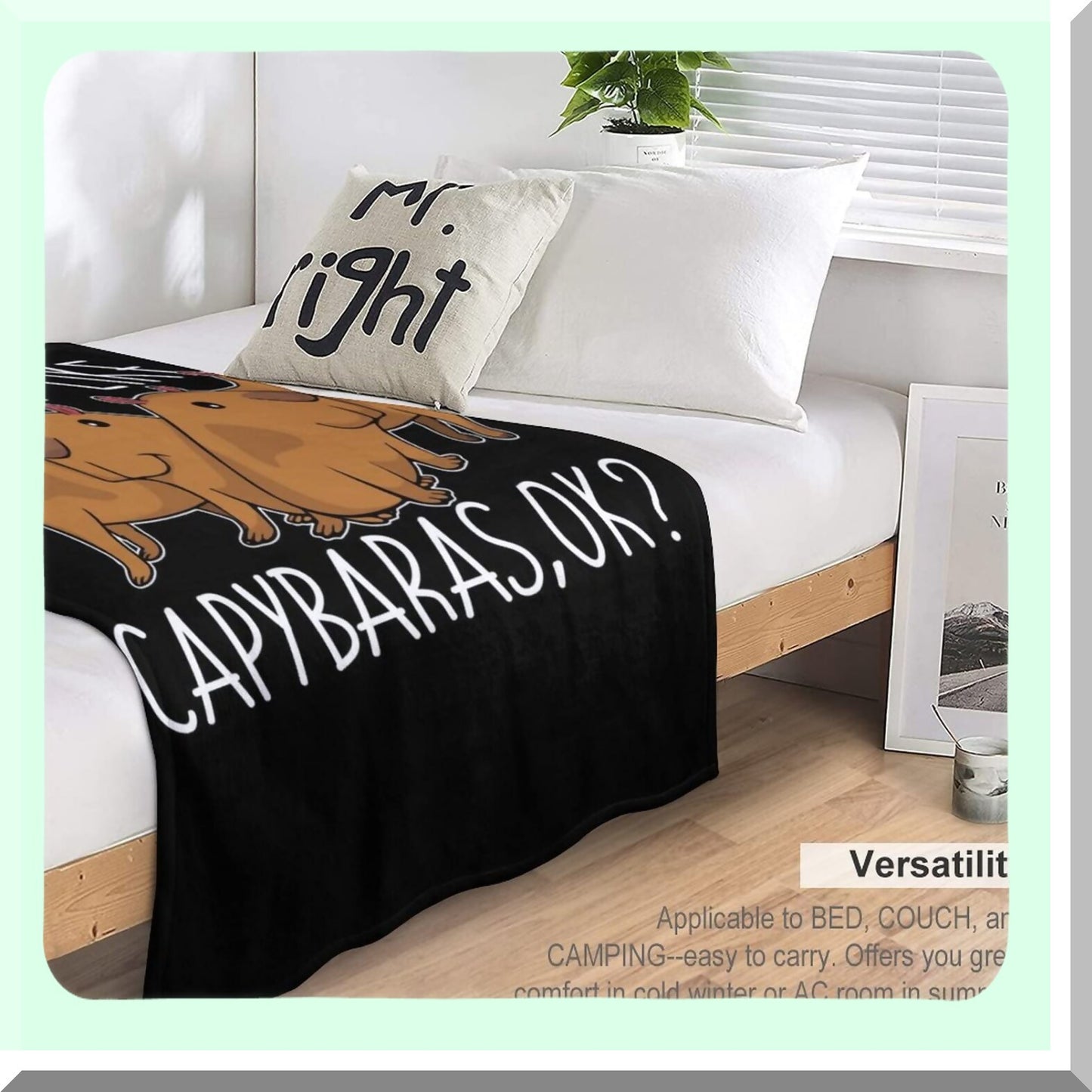 CozyCapy Fleece Throw - Ultra-Soft Lightweight Microfiber Blanket for All Seasons, Perfect for Bed, Couch, or Sofa, 50"x60""