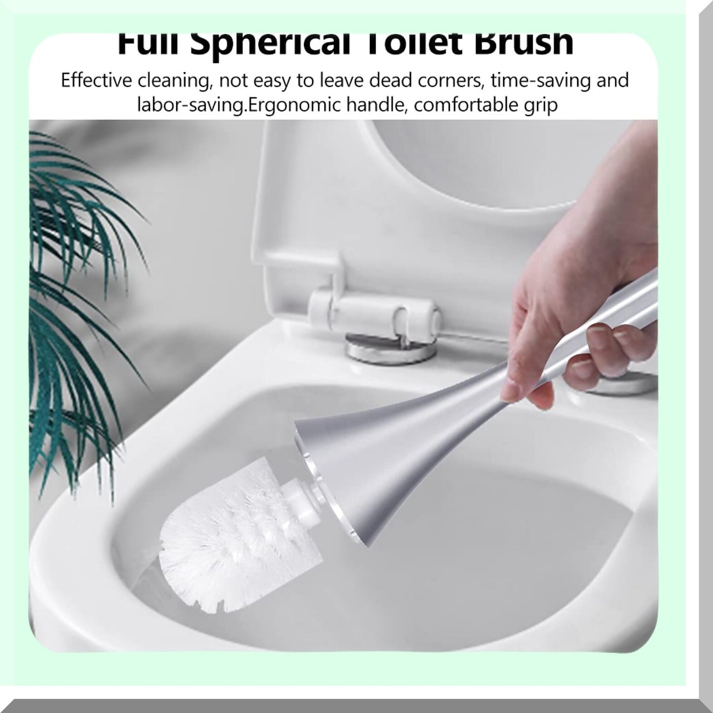European Style White Wash Tet Brush with Stainless Steel Base