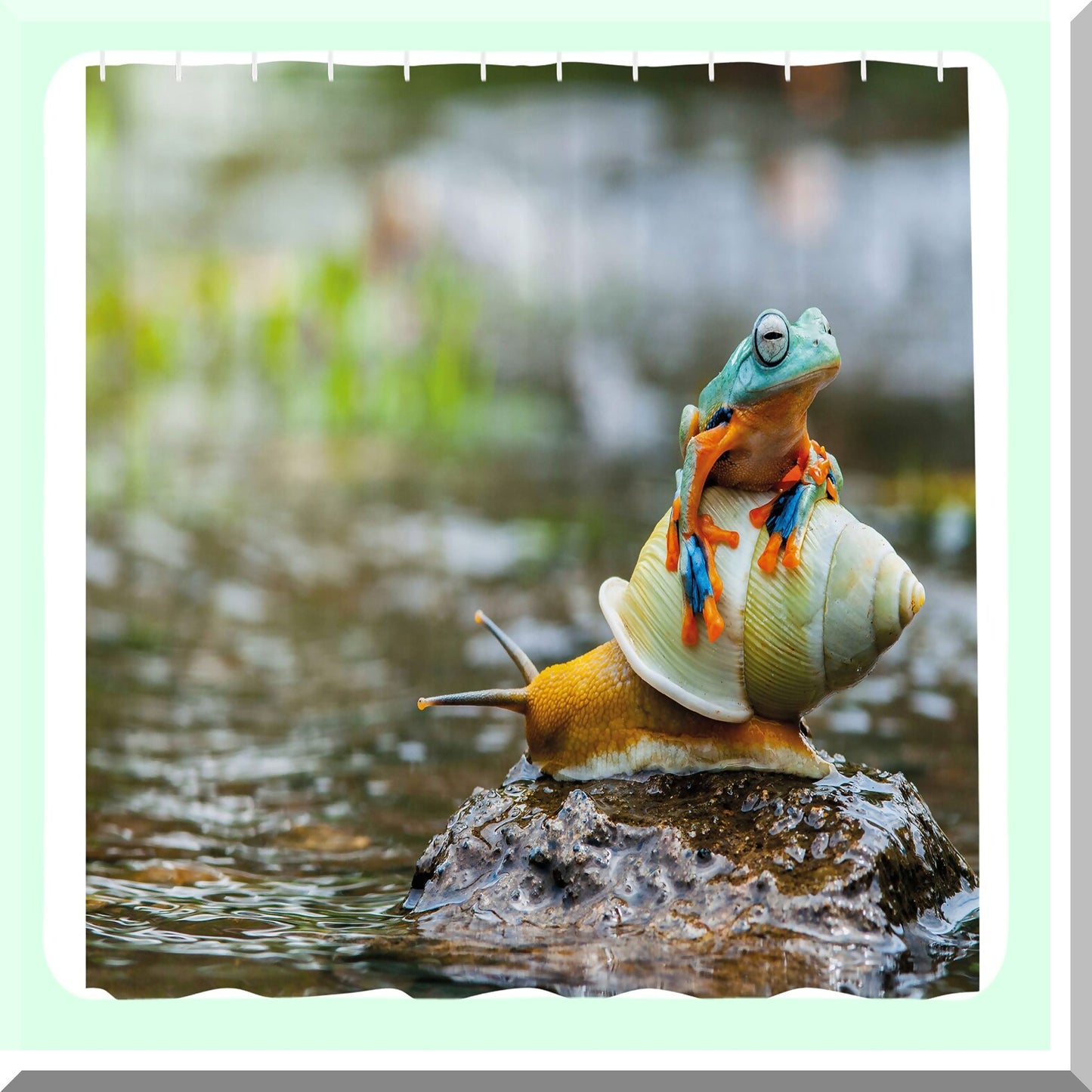 Colorful Frog Snail Riverscape Shower Curtain 69x70 inches