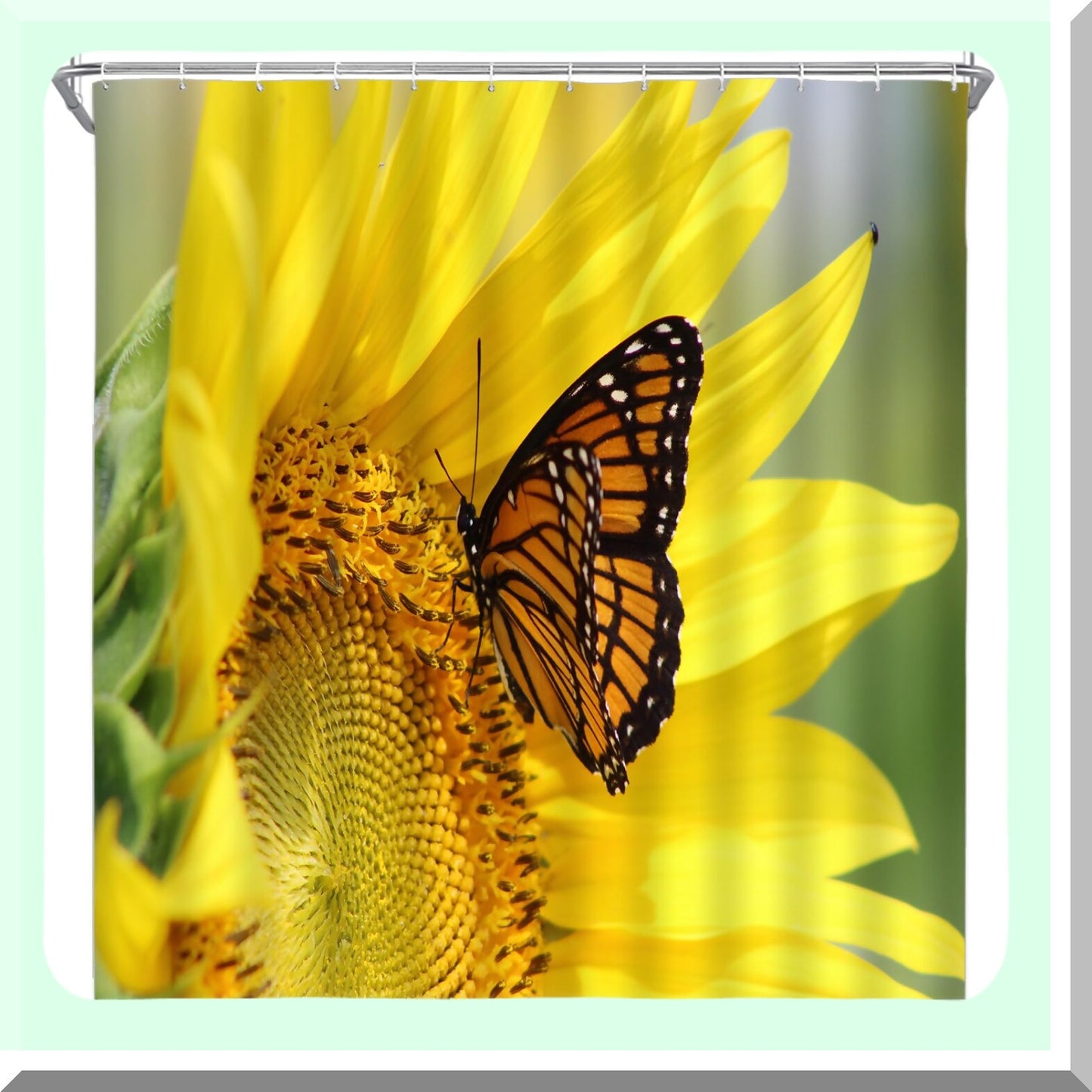 Sunflower Butterfly Shower Curtain 70x70 Inch