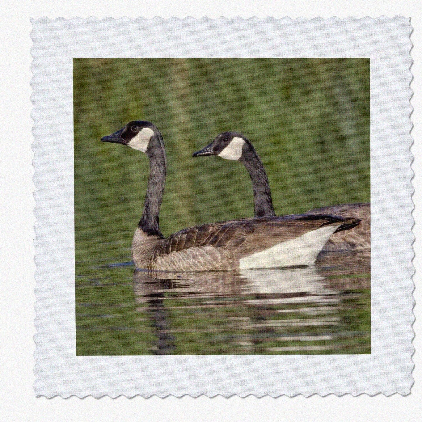 Canada Geese Quilt Square 10x10-Inch