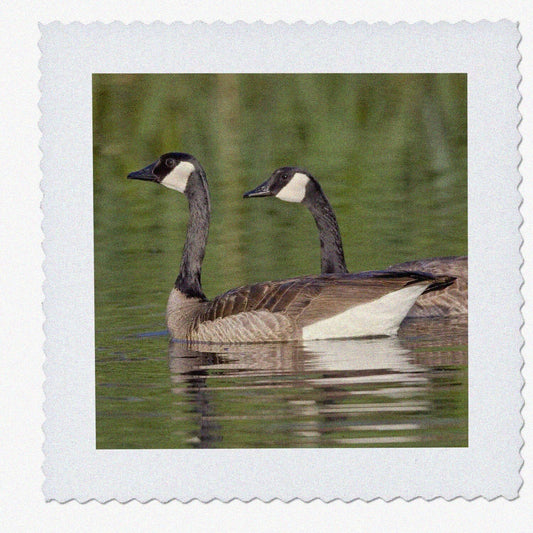 Canada Geese Quilt Square 10x10-Inch