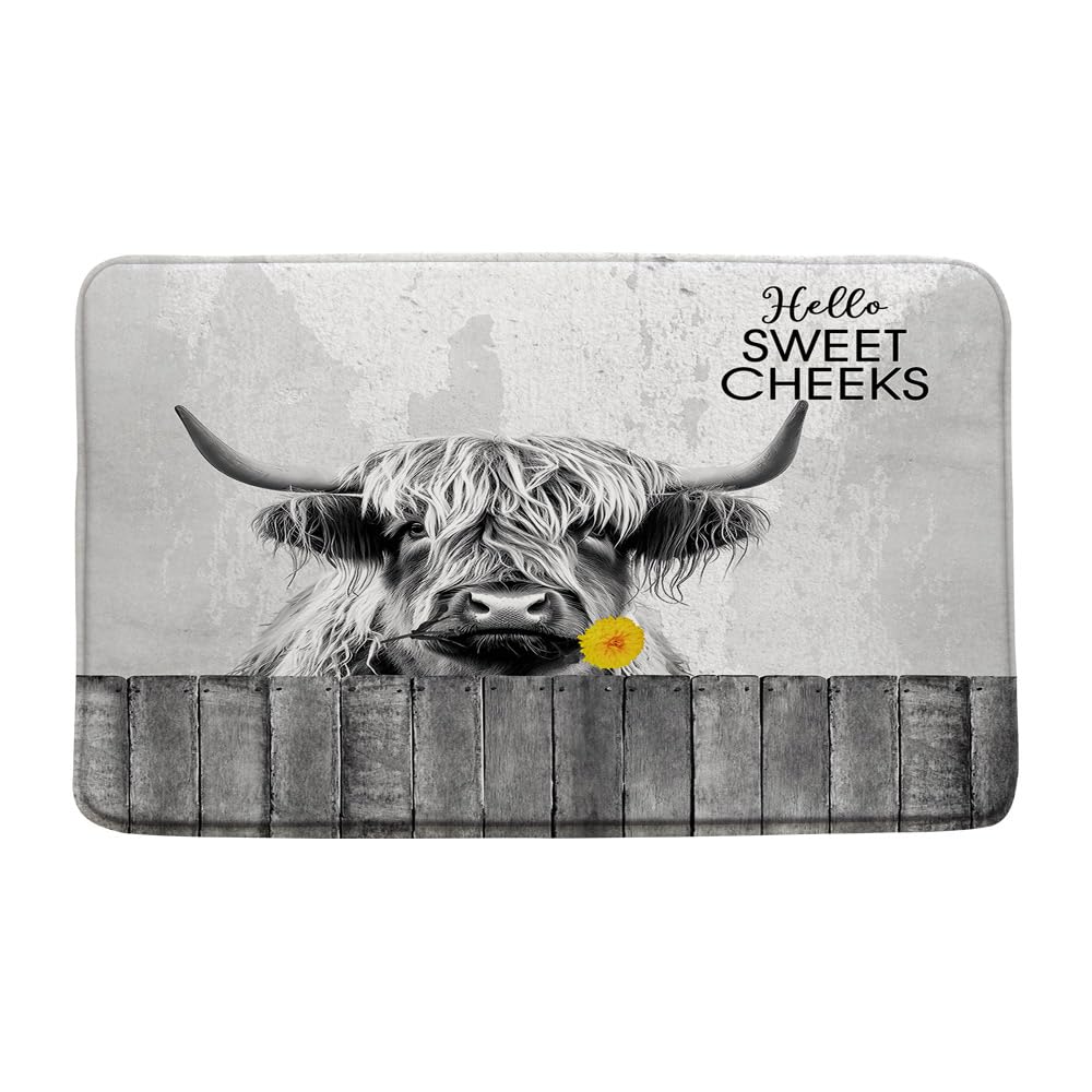 Farmhouse Highland Cow Bath Mat 18x30 Inch