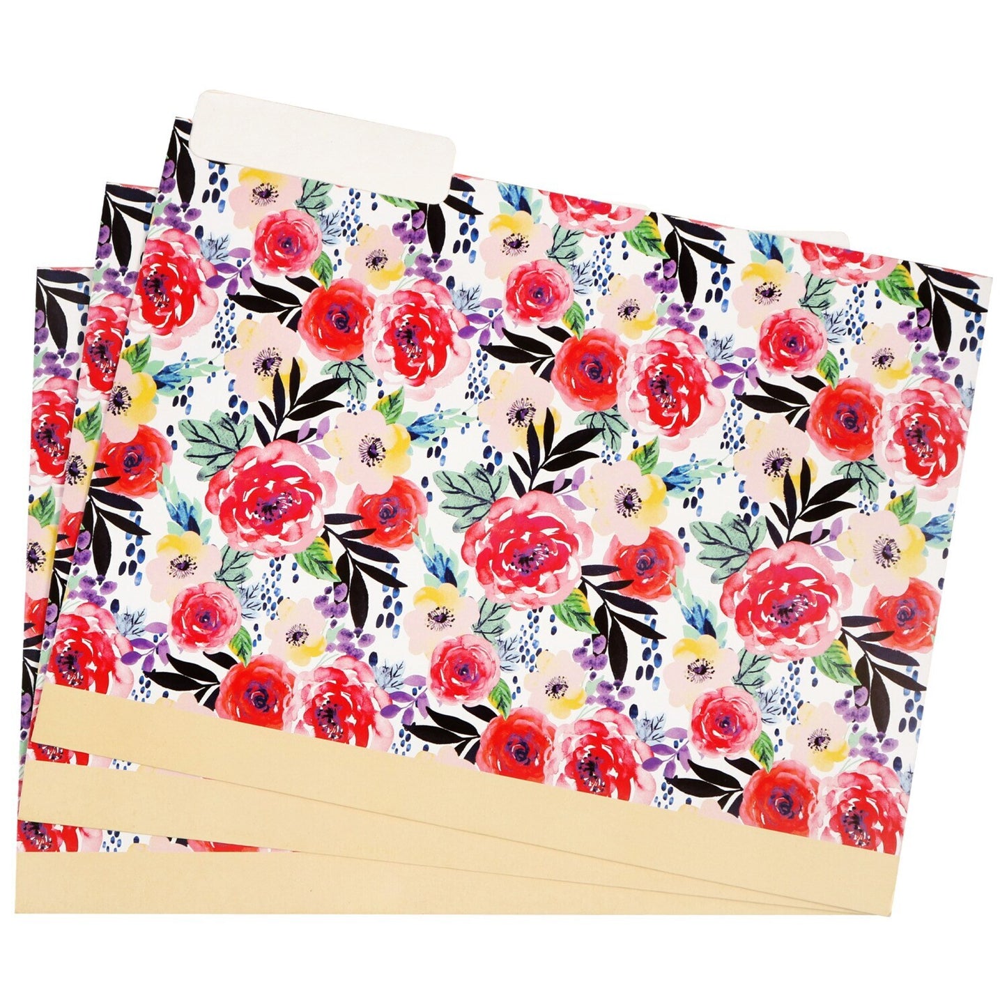 Jot Fashion File Folders, 3-ct. Packs (Pack of 24)