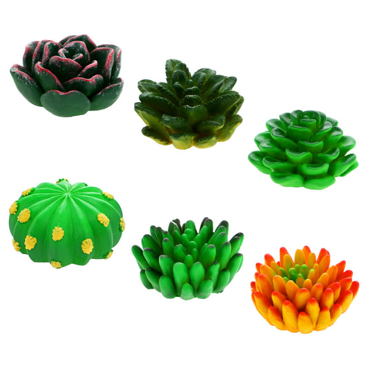 Assorted Succulent Magnets, 2-in. (Pack of 48)