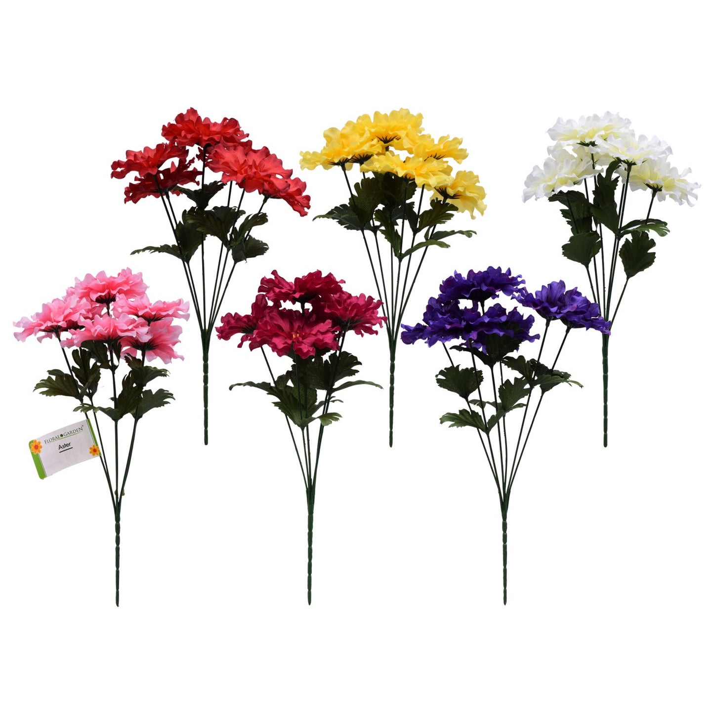 5-Stem Brightly-Colored Aster Bushes, 16 in. (Pack of 36)