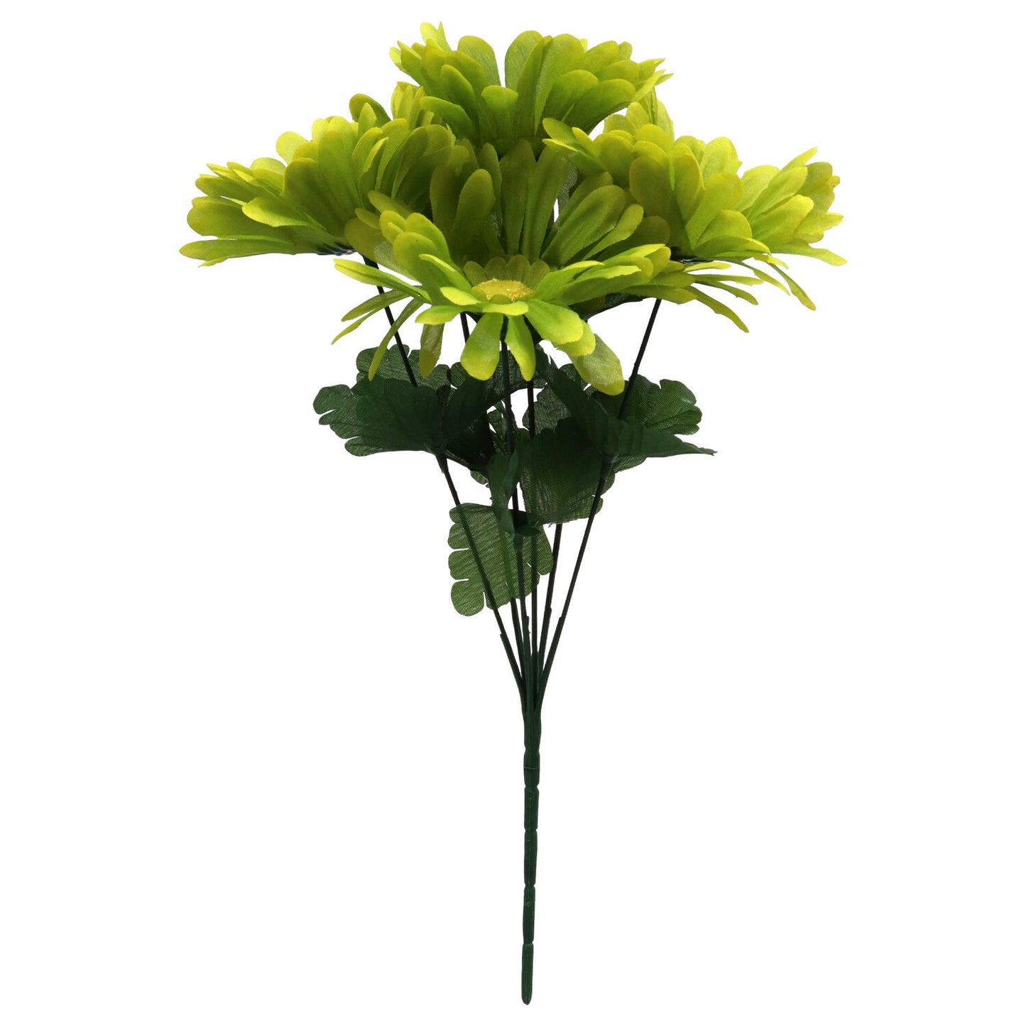 6-Stem Spring Gerbera Daisy Bushes, 15 in. (Pack of 36)