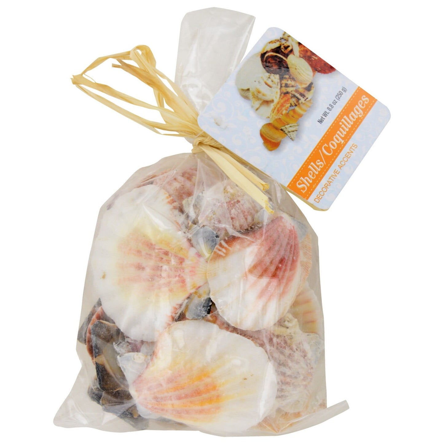 Bags of Assorted Decorative Shells, 5.3-oz. Bags (Pack of 36)