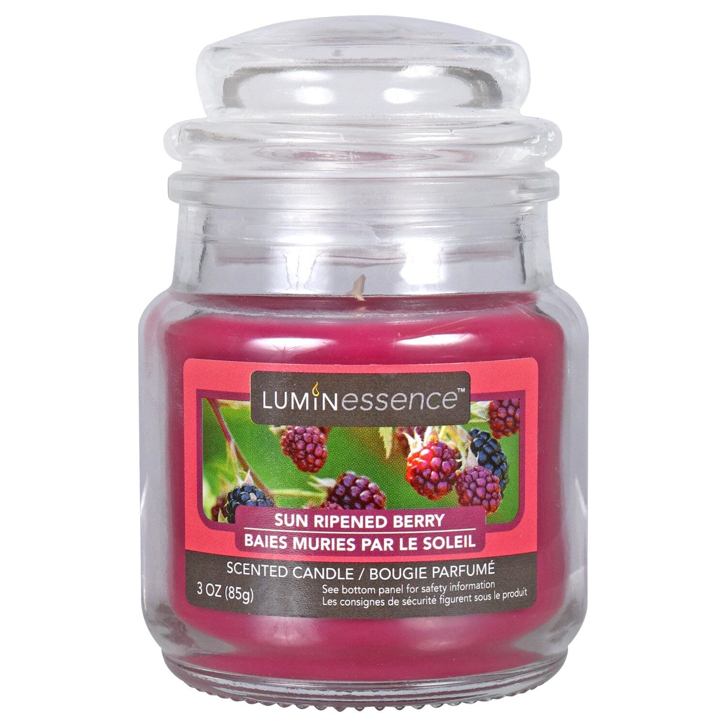Luminessence Sun Ripened Apothecary Jar Candle, 3 oz. (Pack of 12)